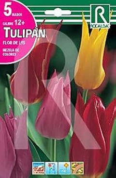 Opciones ideales para jardines de bajo mantenimiento sin bulbos de flores