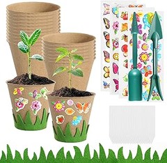 Descubre alternativas a las macetas biodegradables para semilleros
