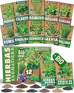 Alternativas viables a las semillas de hierbas aromáticas