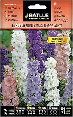 Opciones para un Jardín Colorido sin Semillas de Flores Anuales