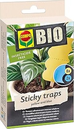 Alternativas efectivas a las trampas adhesivas para insectos voladores