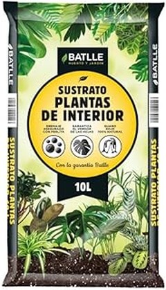 Alternativas efectivas al sustrato comercial para tus cactus y suculentas