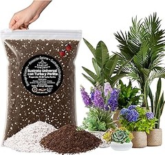 Descubre Alternativas Innovadoras al Sustrato Tradicional para Tus Plantas de Interior