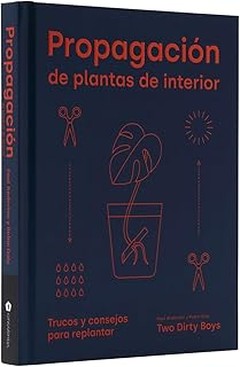 Mejores plantas de interior que prosperan en ambientes oscuros