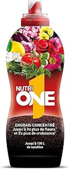 Alternativas orgánicas a los fertilizantes químicos para plantas de flor