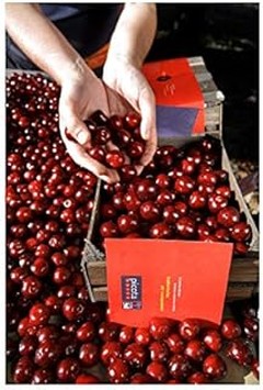 Árboles de hoja caduca más resistentes a plagas comunes