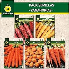 Descubre los beneficios de cultivar hortalizas con niños