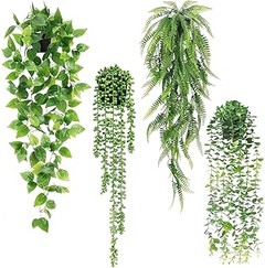 Descubre los beneficios de tener plantas colgantes en casa