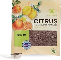 Descubre los beneficios de usar fertilizantes específicos para cítricos