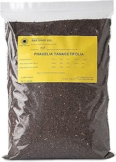 ¿Por qué deberías cultivar flores para abejas y polinizadores?