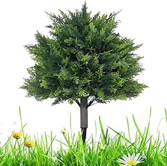 Las Claves de los Mejores Arbustos para Jardines Costeros