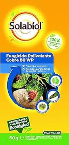 Guía para Aplicar Fungicidas a Tus Plantas Ornamentales