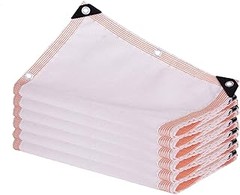 ** Cuidado esencial para tus plantas de sombra en el patio