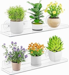 Guía para elegir el macetero perfecto para tus plantas en estanterías