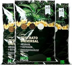 Guía para elegir el mejor sustrato para tus plantas en casa