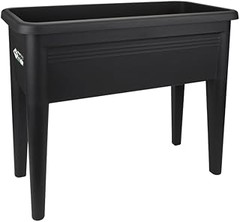 Consejos para elegir la maceta perfecta para tus plantas