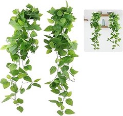 Guía para elegir las mejores plantas colgantes para tu balcón