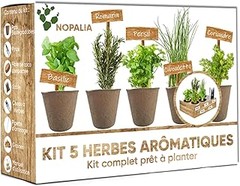 Guía para elegir las mejores semillas para tu huerto urbano en macetas