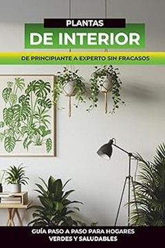 Evita el amarillamiento de hojas en tus plantas de interior