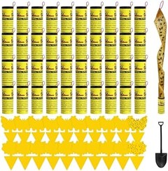 Guía para Crear Trampas Caseras Efectivas para Moscas y Mosquitos