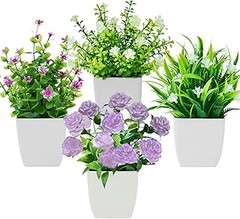 Crea un hermoso topiario con plantas de interior en tu cocina