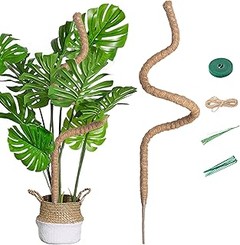 Guía práctica para instalar soportes de plantas trepadoras