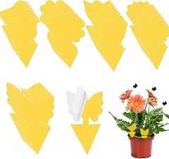 Mantenimiento de trampas adhesivas para insectos voladores