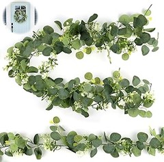 Guía para Plantar Enredaderas con Flor en Muros de Forma Efectiva