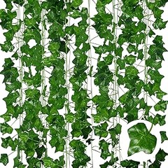 Guía para plantar enredaderas de hoja caduca en tu jardín