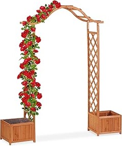 Guía para plantar y cuidar enredaderas con flor en pérgolas