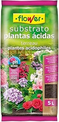 Guía para mezclar sustrato casero para plantas acidófilas