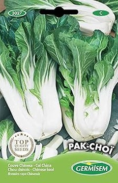 Consejos para la recolección y almacenamiento de hortalizas de hoja