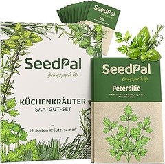 Guía para sembrar y cuidar semillas de hierbas aromáticas