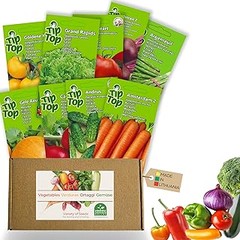 Comparativa de Variedades de Hortalizas de Fruto: Tomates y Pimientos