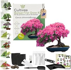 Compara los mejores kits de semillas y bulbos listos para plantar