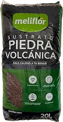 Diferencias entre plantas perennes y anuales para rocallas