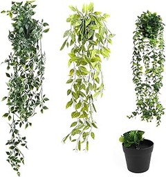 Comparativa de precios de plantas colgantes para balcones