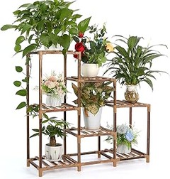 Comparativa de precios de las mejores plantas de interior
