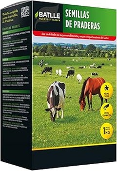 Comparativa de Semillas de Césped: Análisis de las Mejores Marcas