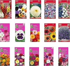 Semillas de flores anuales: ¿cuáles son las más resistentes?