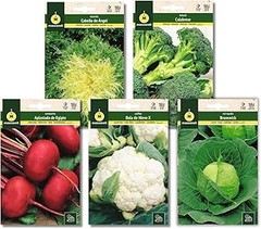 Mejores Semillas de Hortalizas para Otoño e Invierno: Comparativa 2023