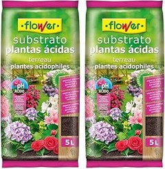 Mejores sustratos para plantas acidófilas: comparativa del mercado