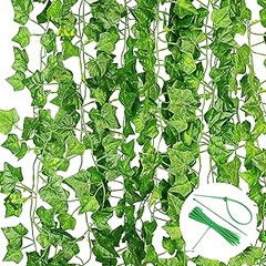Enredaderas de Hoja Caduca y Perennes: ¿Cuál elegir para tu jardín?