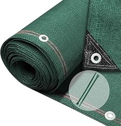 Enredaderas Trepadoras y Colgantes: ¿Cuál es Mejor para tu Terraza?