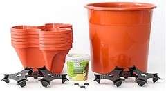 Kits de Huerto Urbano vs Cultivo Tradicional: ¿Qué Opción Elegir?