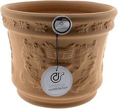 Macetas de Barro o Plástico: ¿Cuál es la mejor opción para tus plantas?