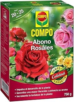Frecuencia ideal para abonar tus rosales y conseguir flores hermosas
