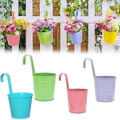 Cómo Organizar Plantas Colgantes en Tu Balcón para Mejorar la Estética