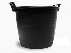 Descubre qué son los contenedores grandes para árboles y arbustos