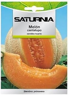 ¿Cuándo es el mejor momento para plantar semillas en macetas?